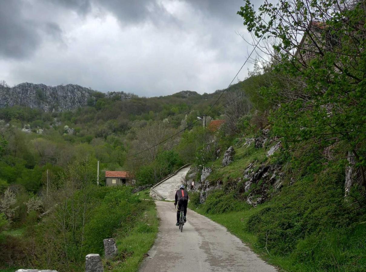Konak Ugnji-Village Cetinje Extérieur photo