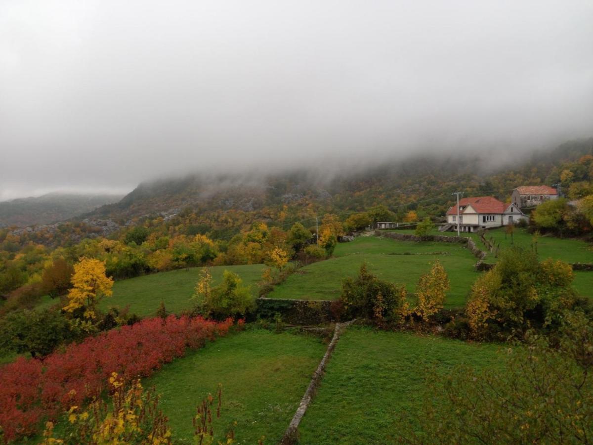 Konak Ugnji-Village Cetinje Extérieur photo