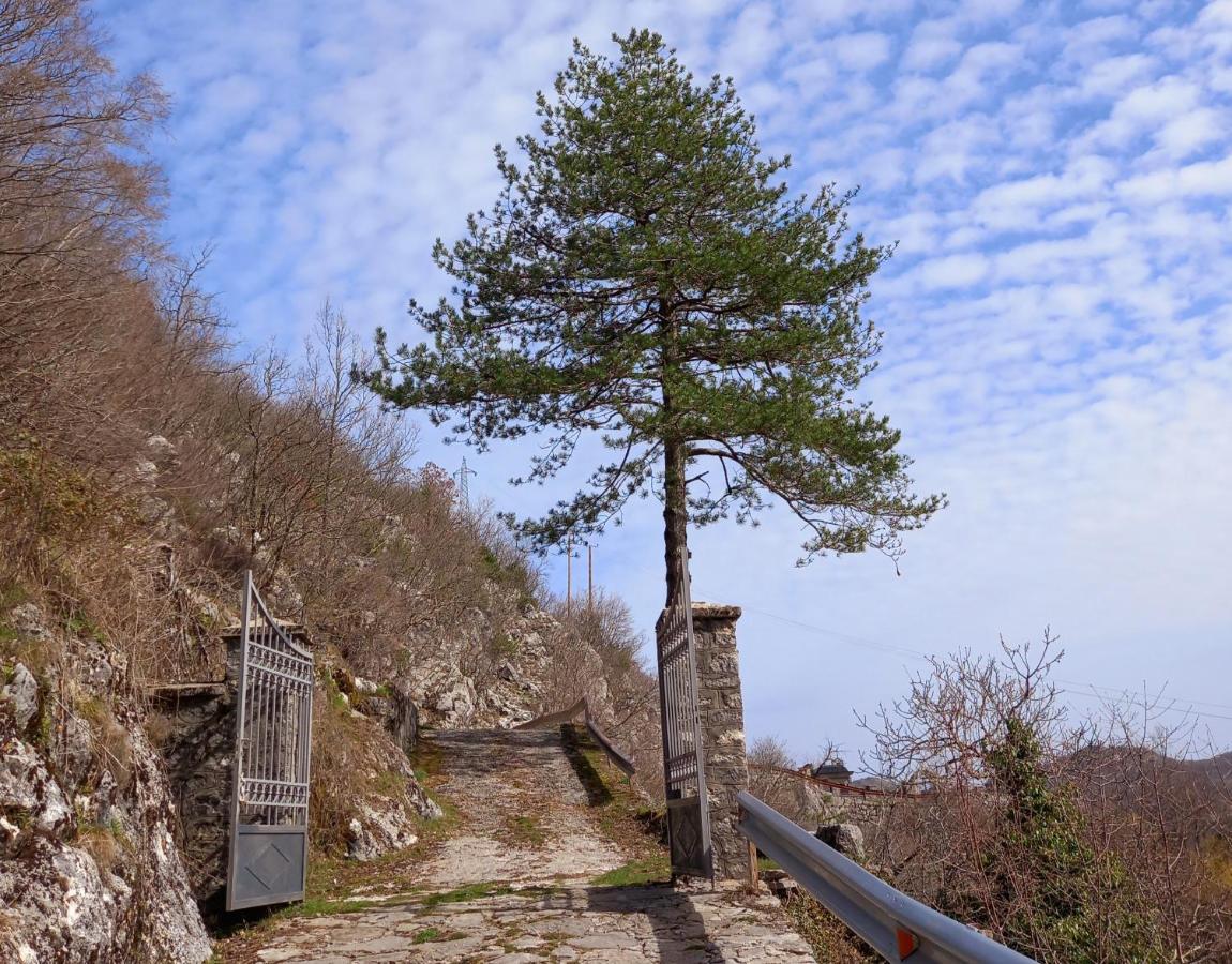 Konak Ugnji-Village Cetinje Extérieur photo