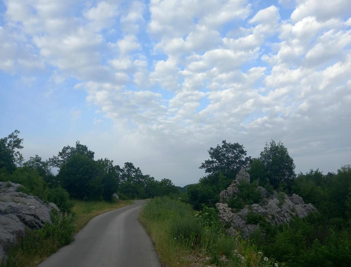 Konak Ugnji-Village Cetinje Extérieur photo
