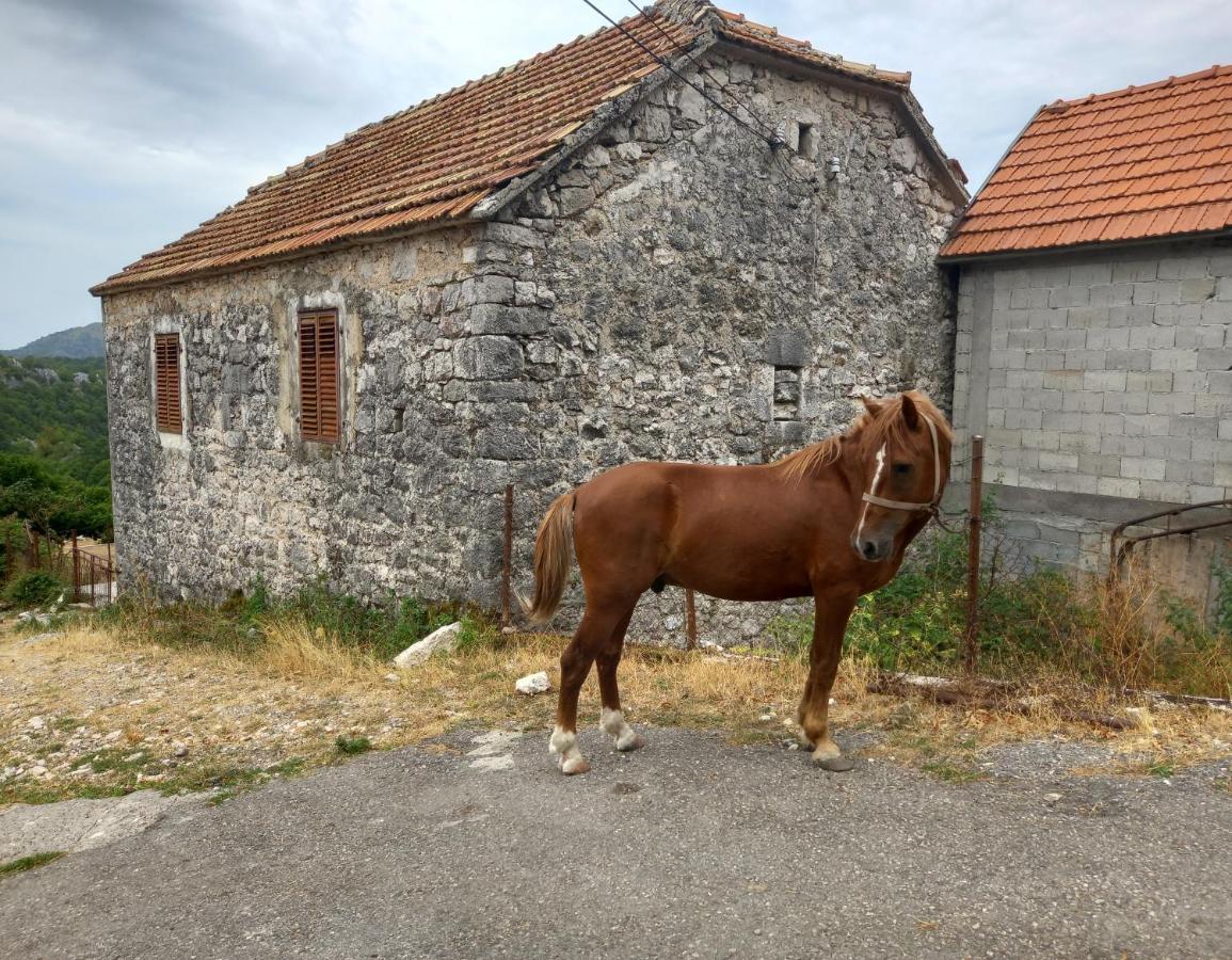 Konak Ugnji-Village Cetinje Extérieur photo