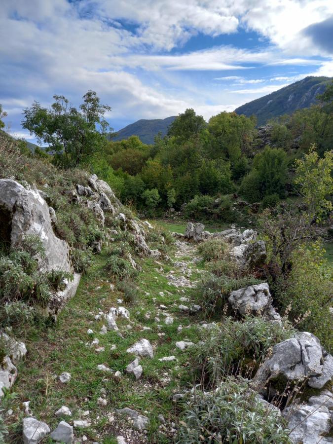 Konak Ugnji-Village Cetinje Extérieur photo