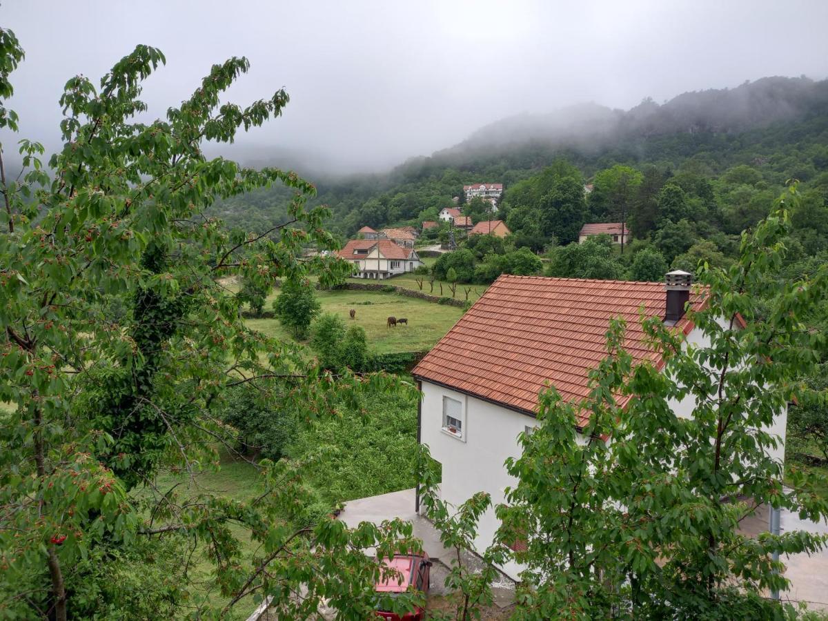 Konak Ugnji-Village Cetinje Extérieur photo
