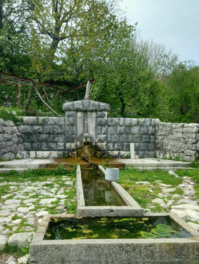 Konak Ugnji-Village Cetinje Extérieur photo