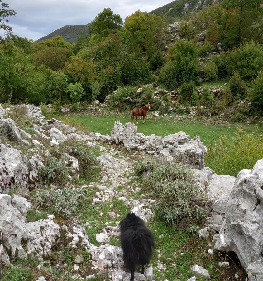 Konak Ugnji-Village Cetinje Extérieur photo